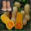 2014/09/071qc5xt9nrk.jpg