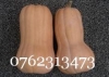 2014/09/bqfwjp5983vm.jpg