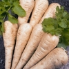 Pastarnac-