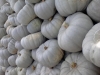 2014/09/crypmntxjv5h.jpg