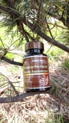 Capsule Cordiceps Plus este un antibiotic natural